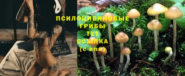 Альфа ПВП Лабытнанги
