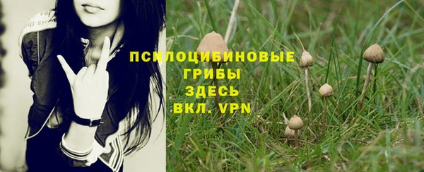 амф Лагань