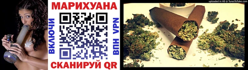 Бошки марихуана марихуана  наркота  гидра маркетплейс  Элиста 